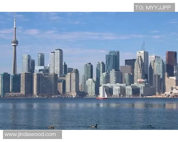 美国与加拿大足球对决：历史渊源与未来展望的深度分析